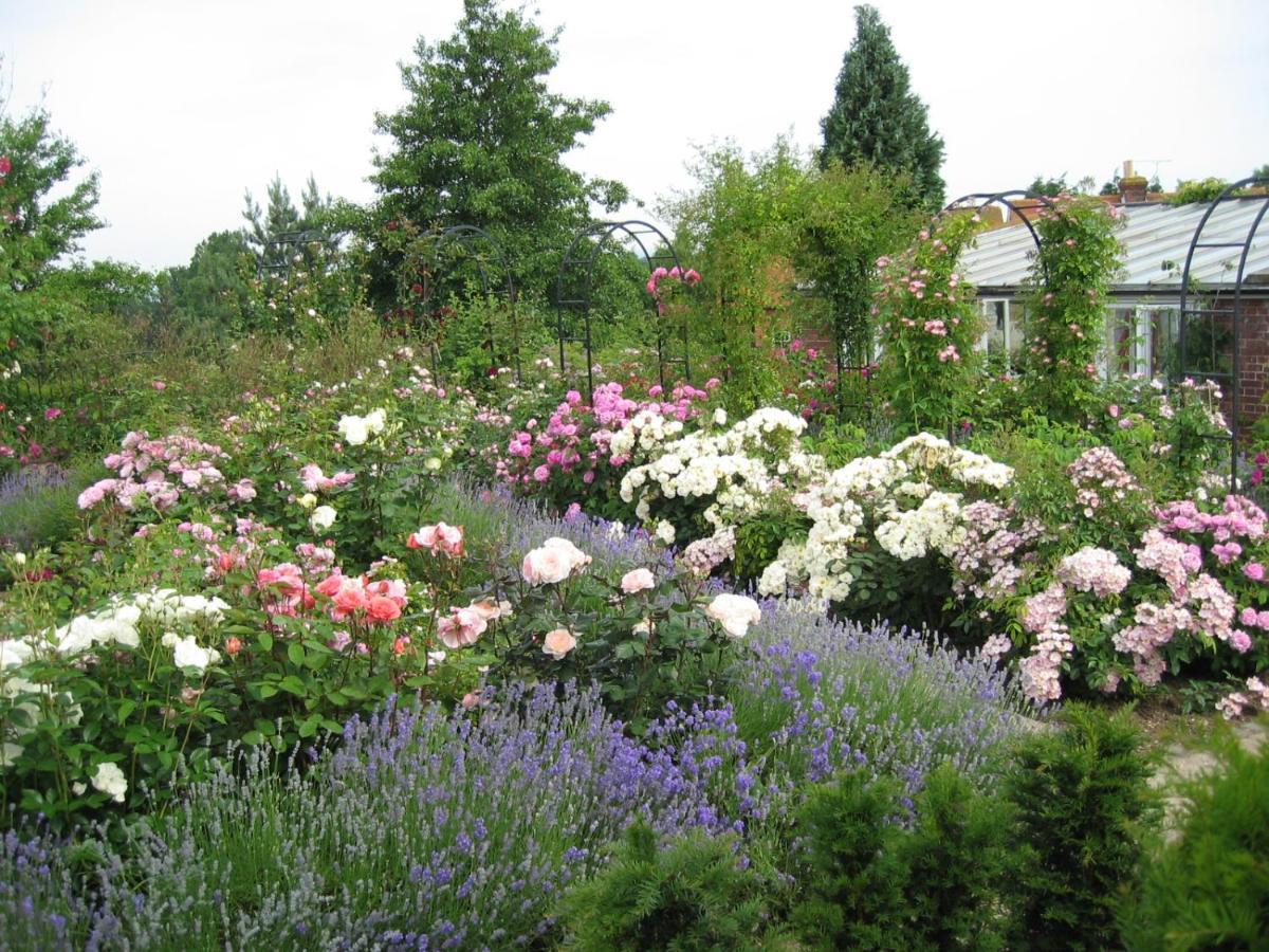 Mount Ephraim B&B Hernhill Экстерьер фото
